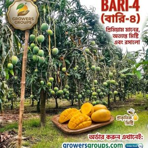 বারি-৪ আম