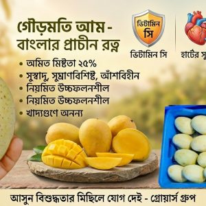 গৌরমতি আম